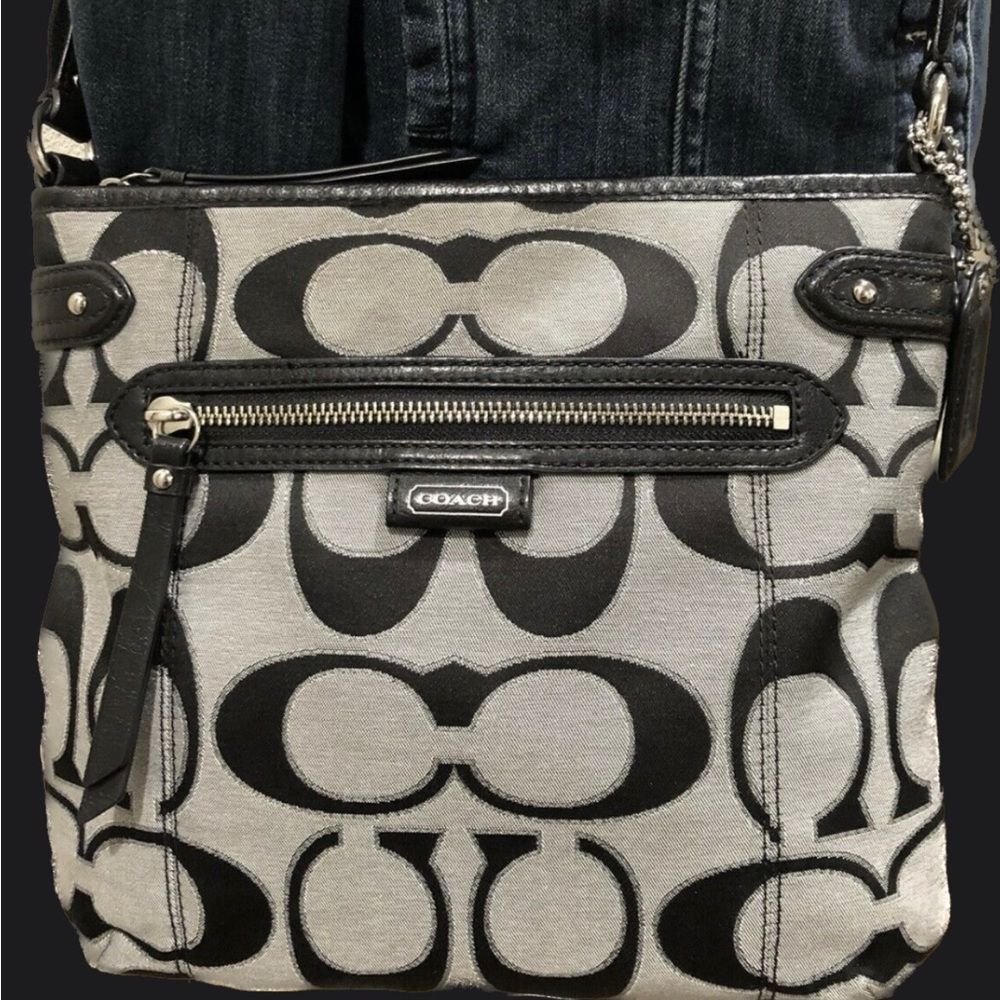 Coach F23913 Daisy Signature Metallic Crossbody